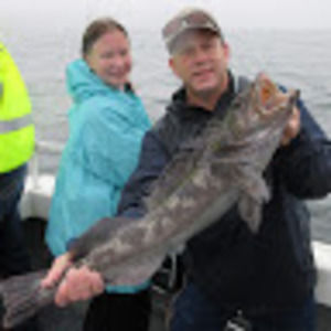 Meet your Posher, Josh